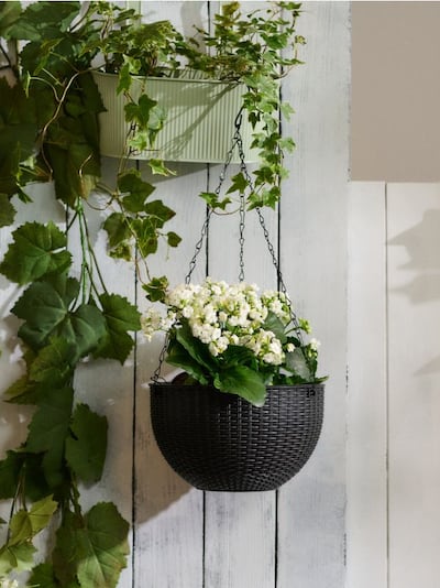 Viseća saksija sa lancem