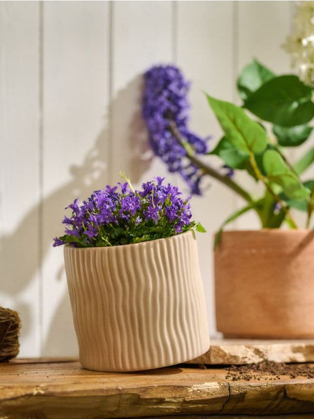 Sinsay - Ghiveci decorativ cu striații - nude