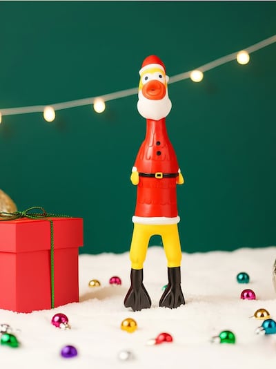 Piduliku motiiviga koeramänguasi