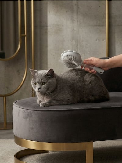 Állatkefe permetezővel