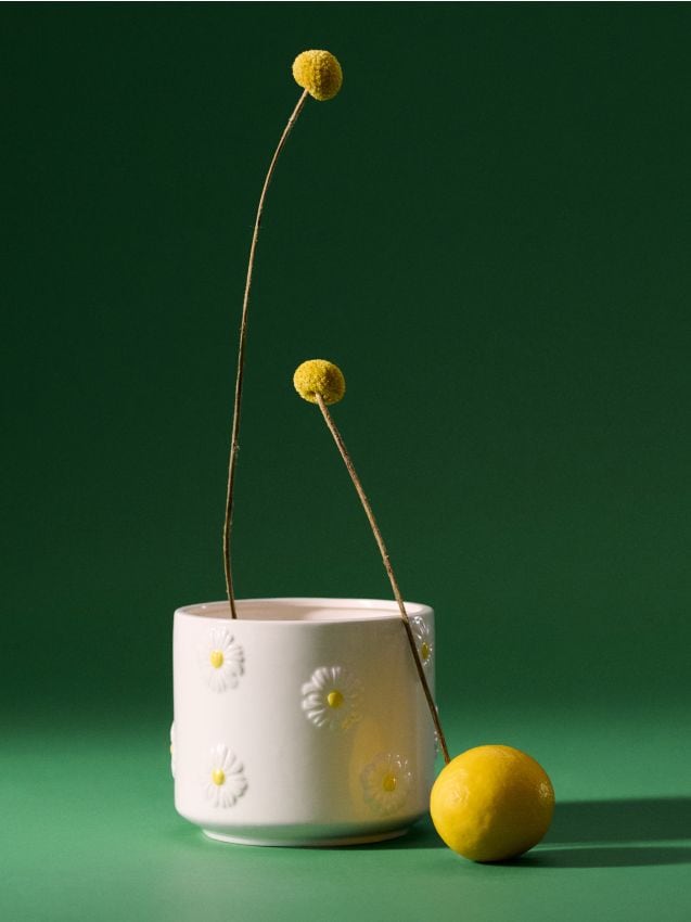 Sinsay - Ghiveci cu motiv de margarete - alb