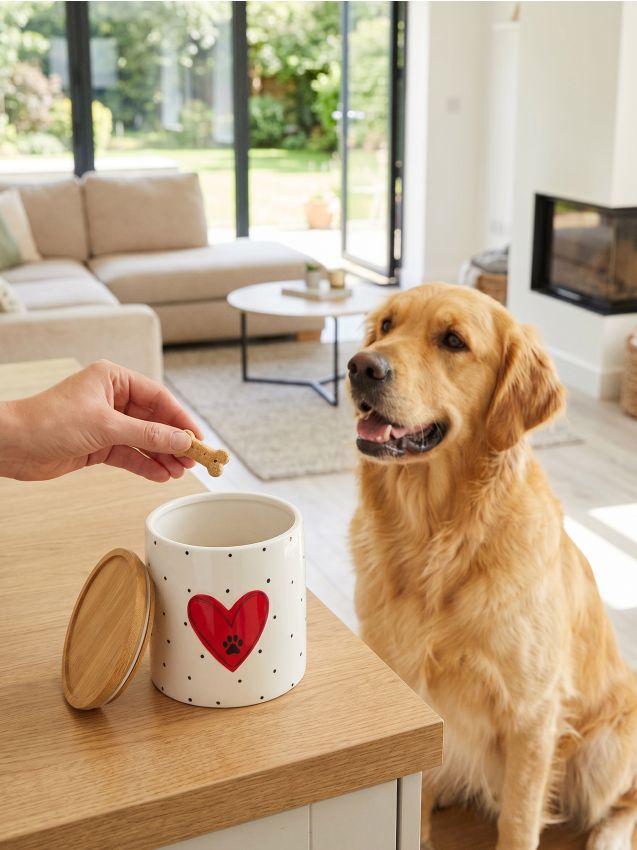 Sinsay - Recipient ceramic pentru hrană pentru animale - alb