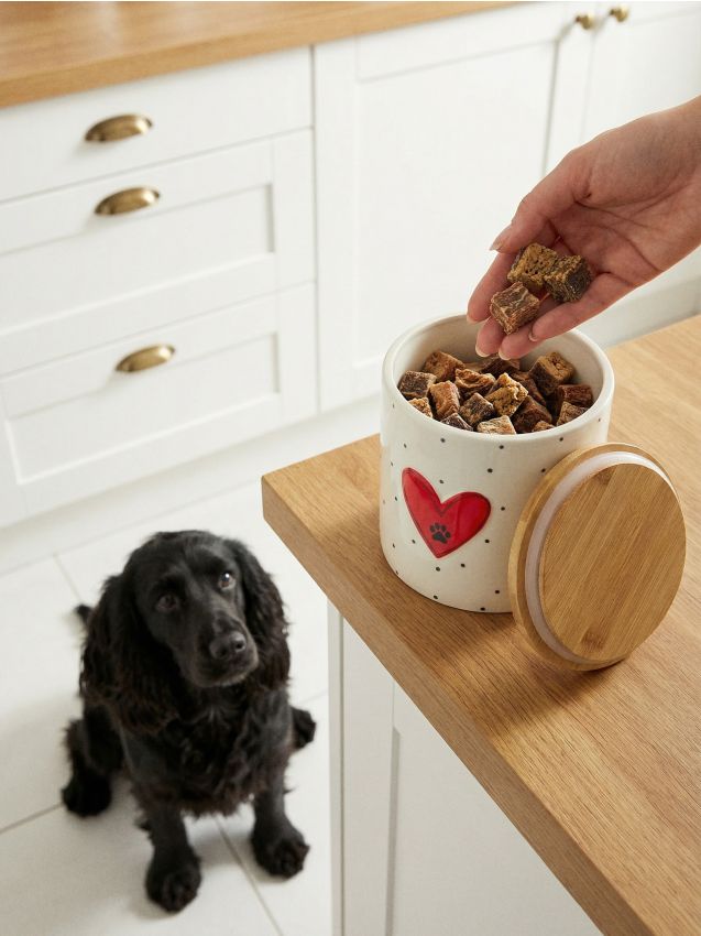 Sinsay - Recipient ceramic pentru hrană pentru animale - alb