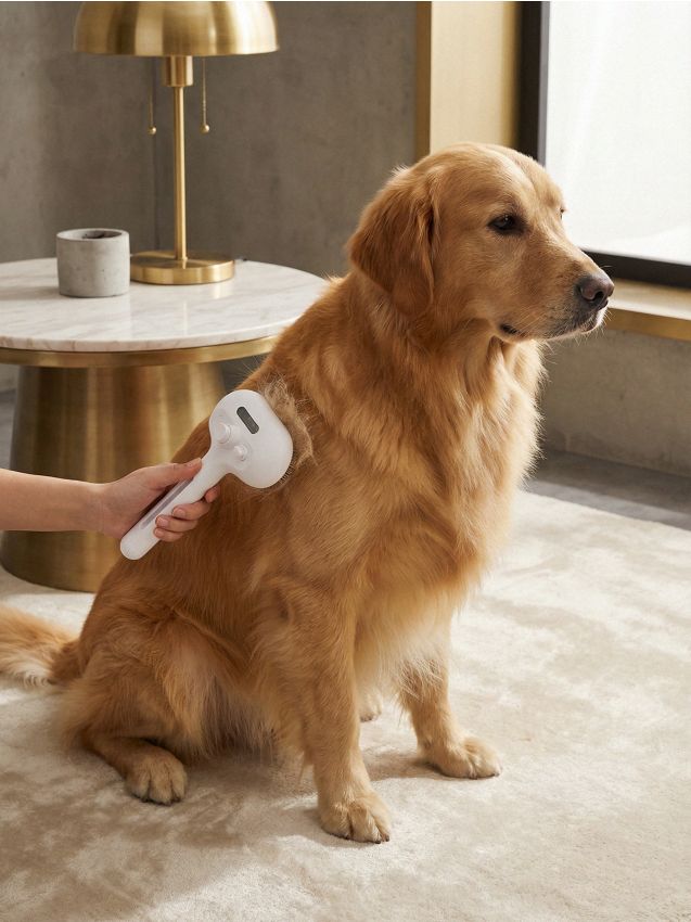 Sinsay - Perie electronică pentru animale cu funcție de pulverizare cu apă - gri deschis