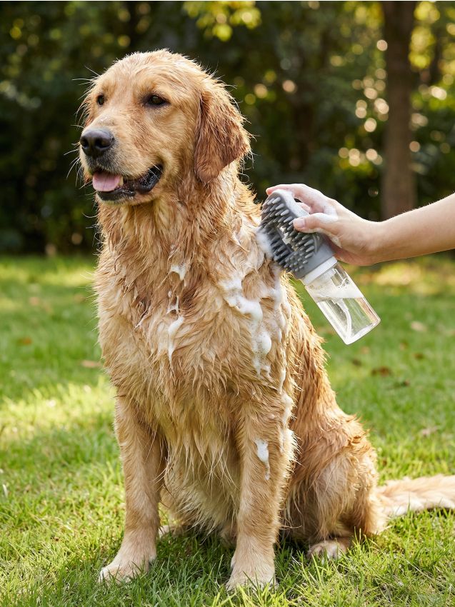 Sinsay - Perie pentru animale cu pulverizator - gri-închis