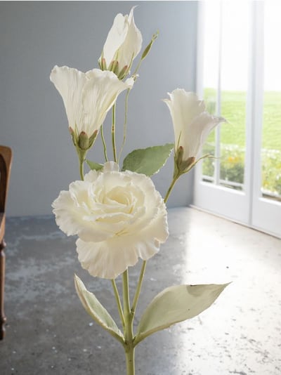 Roślina dekoracyjna - Eustoma