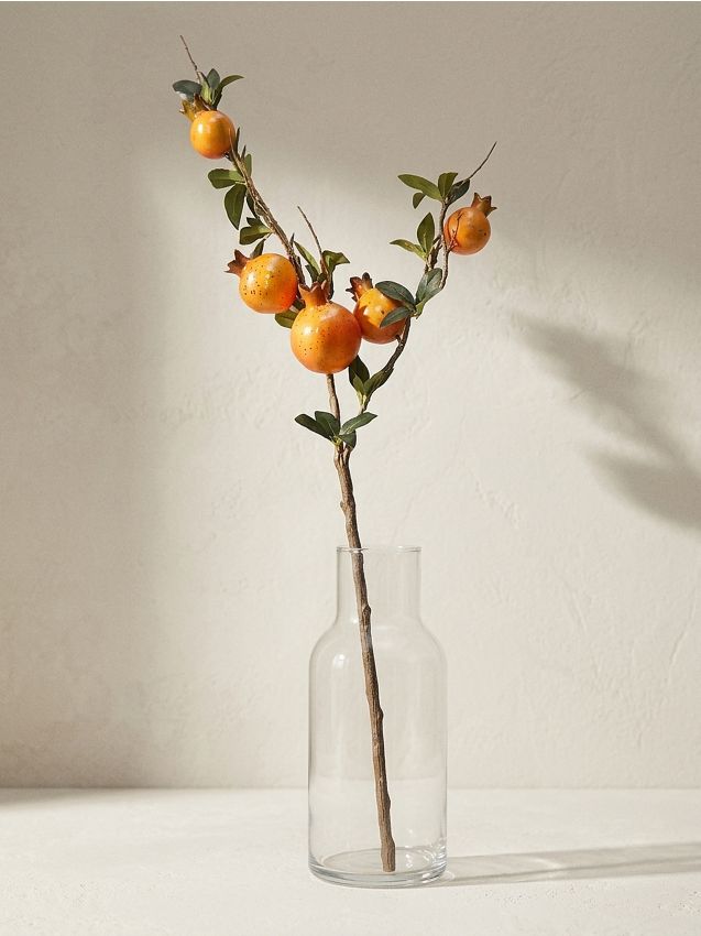 Sinsay - Plantă ornamentală – ramură de rodie - multicolor