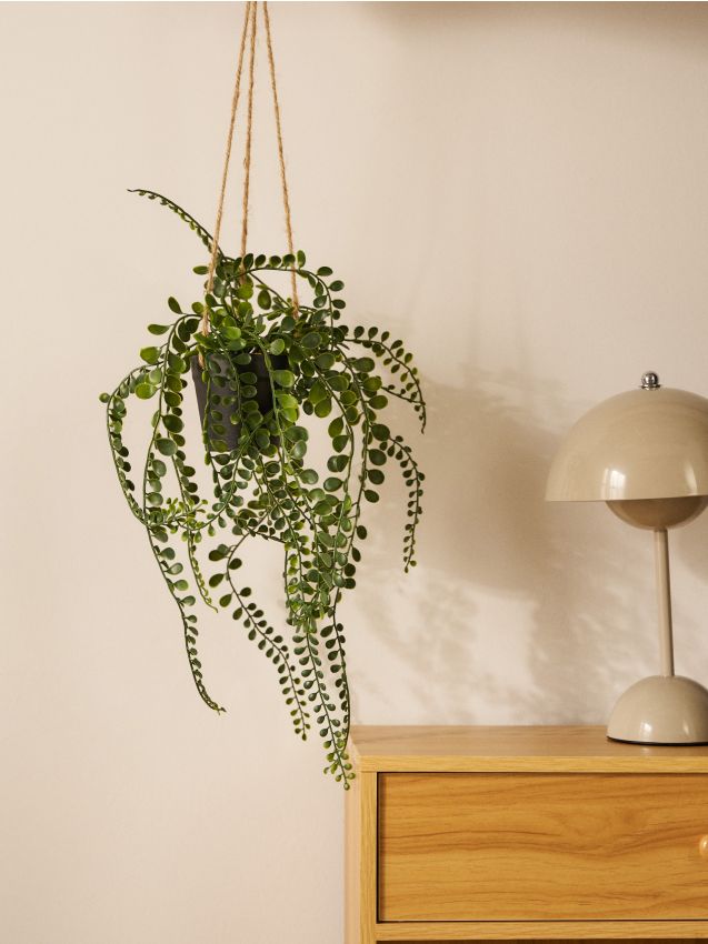 Sinsay - Pianta Decorativa In Vaso