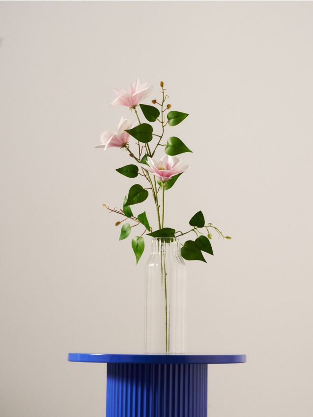 Pianta decorativa – clematide - rosa pastello