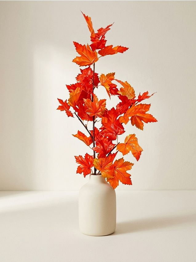 Sinsay - Plantă decorativă – ramură de arțar - multicolor