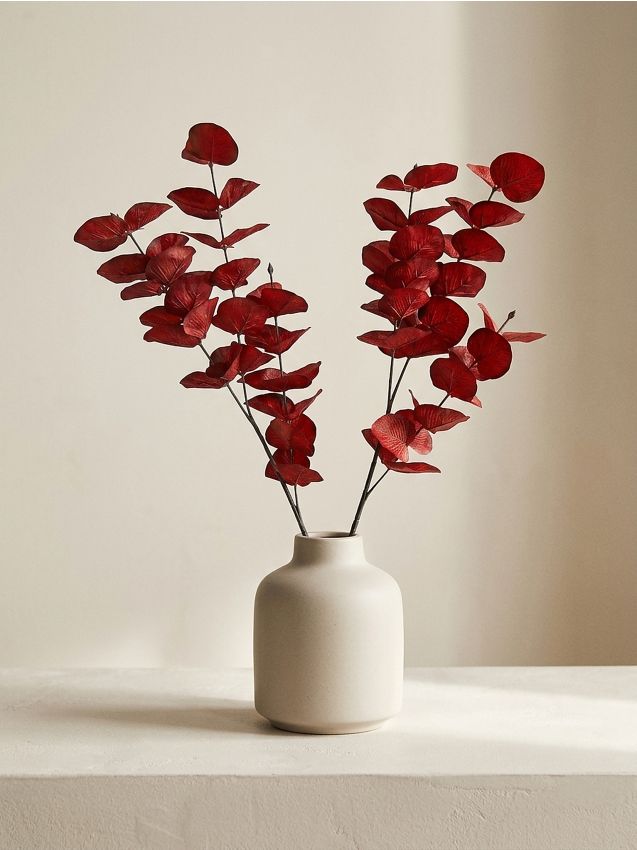 Sinsay - Plantă decorativă – eucalipt - roșu