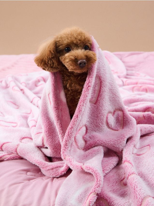 Sinsay - Pătură cu imprimeu fluorescent - roz