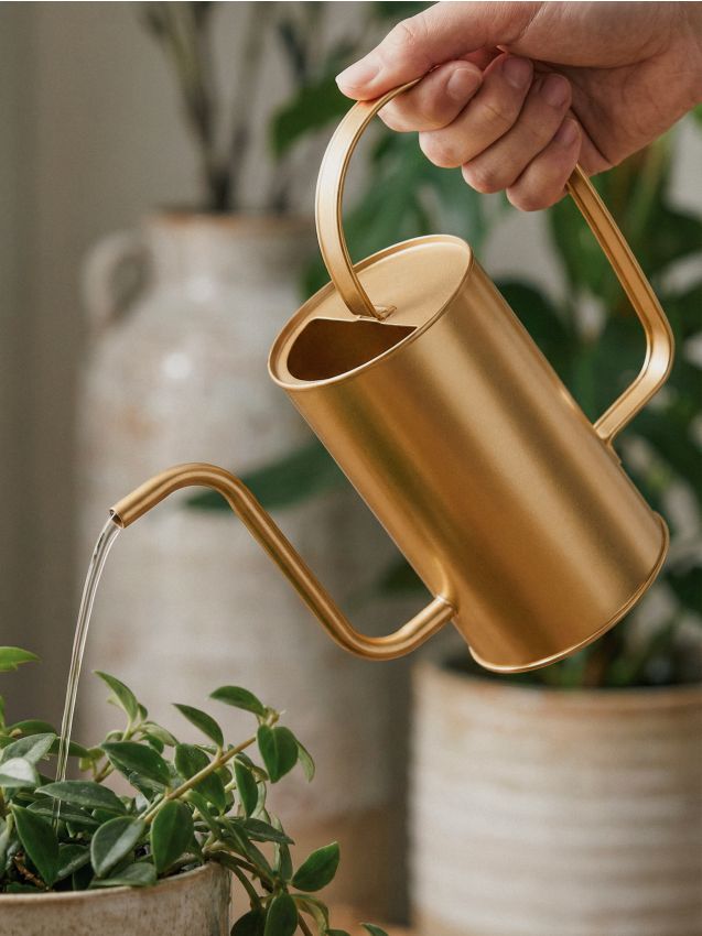 Sinsay - Stropitoare - auriu