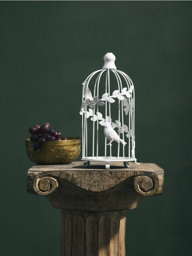 Sinsay - Decorațiune stând în formă de colivie pentru păsări - alb