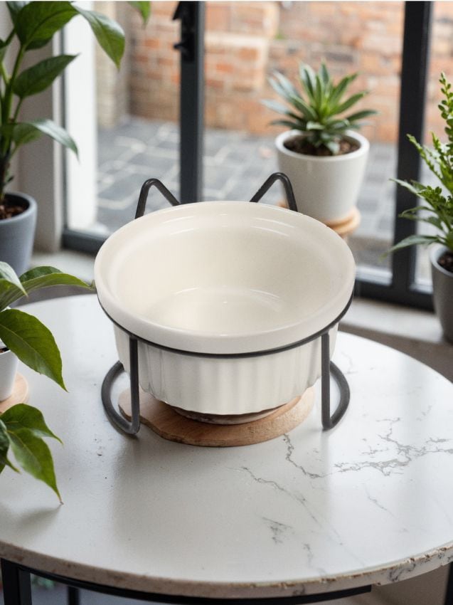 Sinsay - Bol pentru animale cu suport metalic - alb