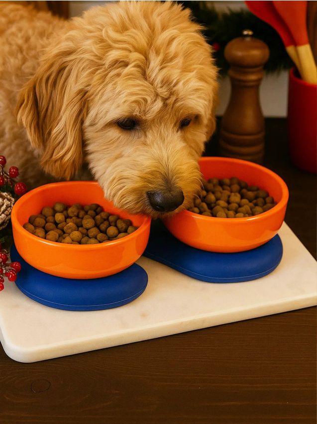 Sinsay - Súprava 2 misiek pre domáceho miláčika - korálová