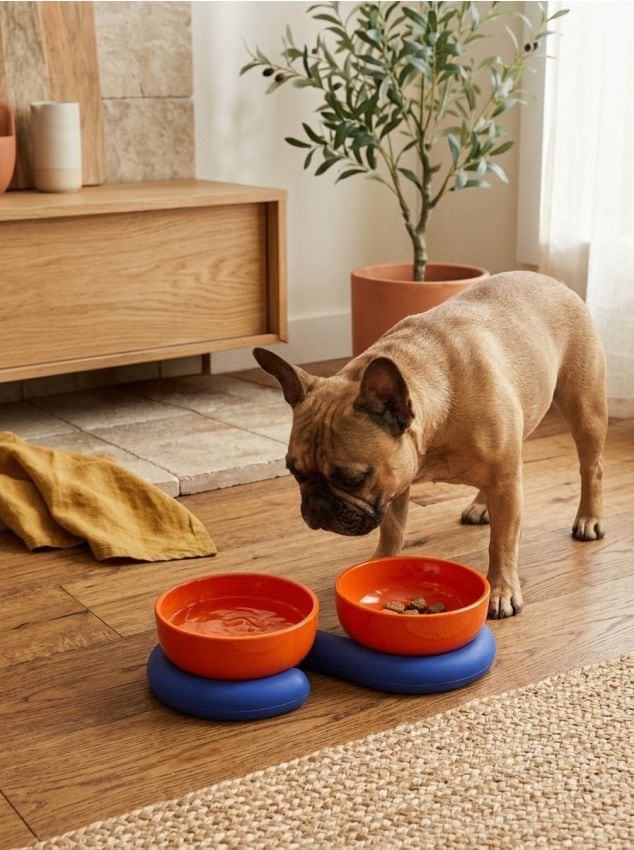 Sinsay - Set de 2 boluri pentru animalele de companie - corai