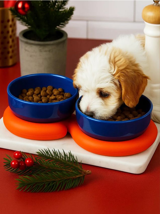 Sinsay - Súprava 2 misiek pre domáceho miláčika - tmavomodrá