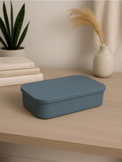 Úložný box s víkem