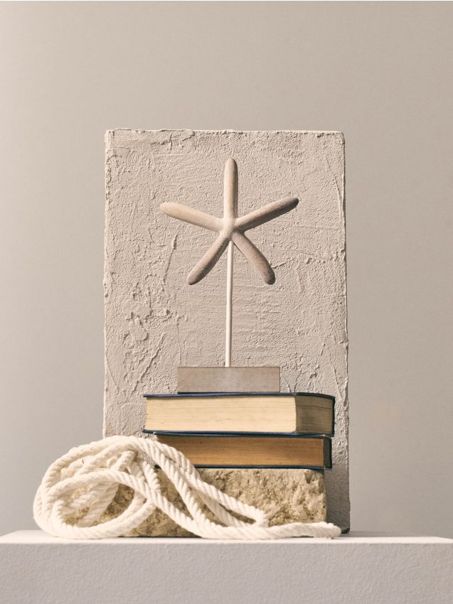 Sinsay - Decorațiune de sine stătătoare cu motiv de stea de mare - bej