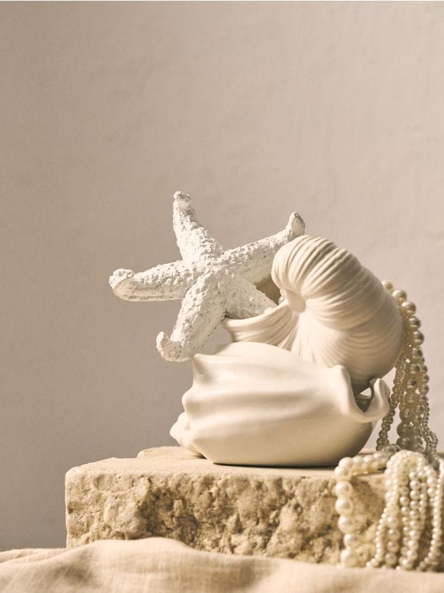 Sinsay - Decorațiune de sine stătătoare în formă de stea de mare - alb