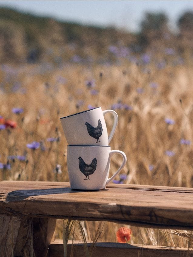 Sinsay - Căni 2 pachet - alb