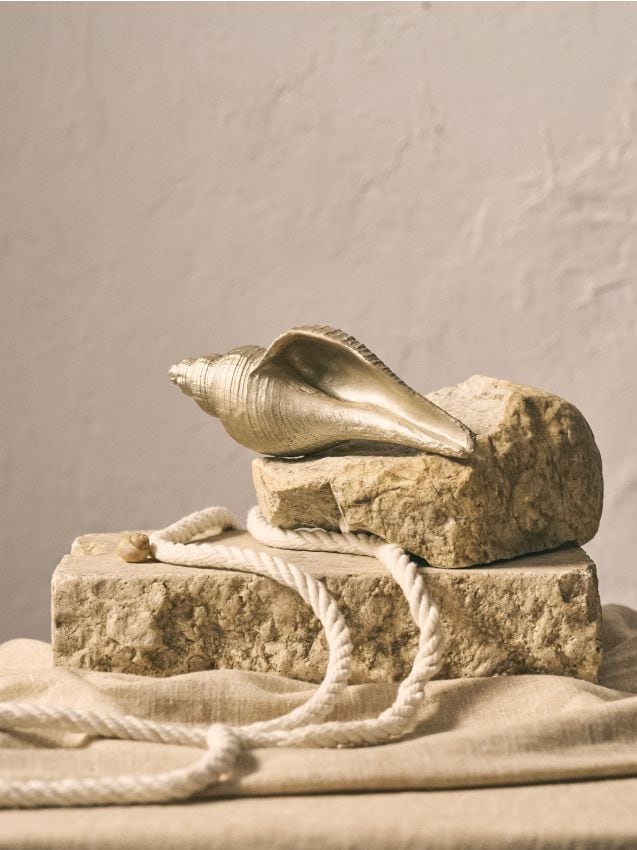 Sinsay - Decorațiune de sine stătătoare în formă de scoică - argintiu