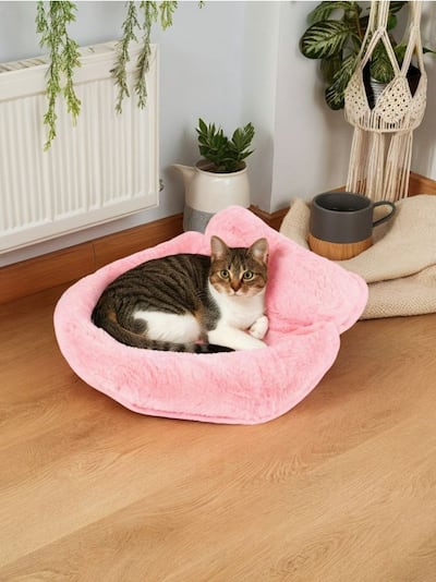 Kasside pesa magamiskoti kujul 3D kõrvadega