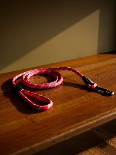 Повідець для собаки