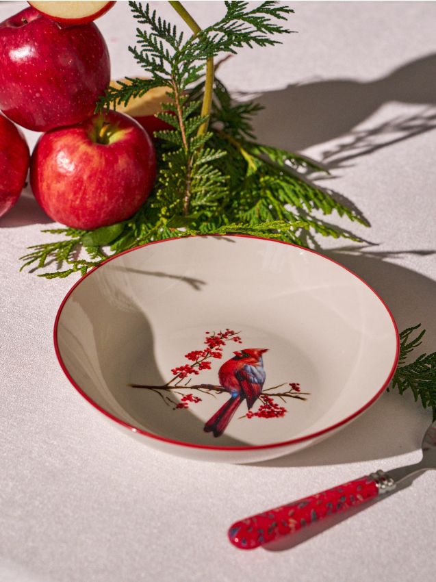 Sinsay - Sada 2 vianočných tanierov s motívom vtákov - červená