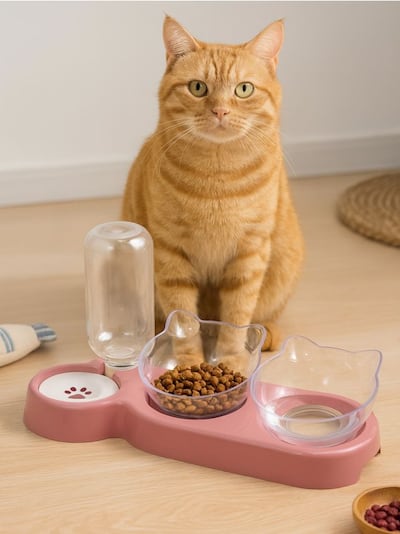Dozator vode i hrane za mačke