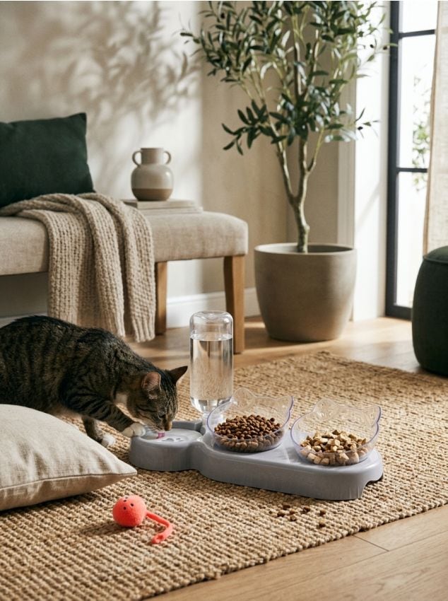 Sinsay - Dozator de apă și hrană pentru pisici - gri deschis