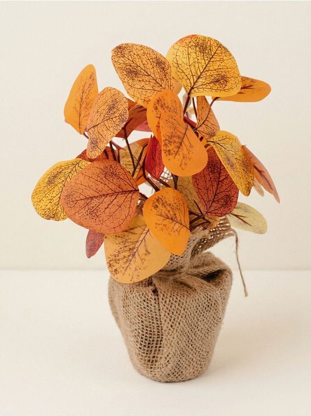 Sinsay - Plantă decorativă în ghiveci și sac de iută - portocaliu