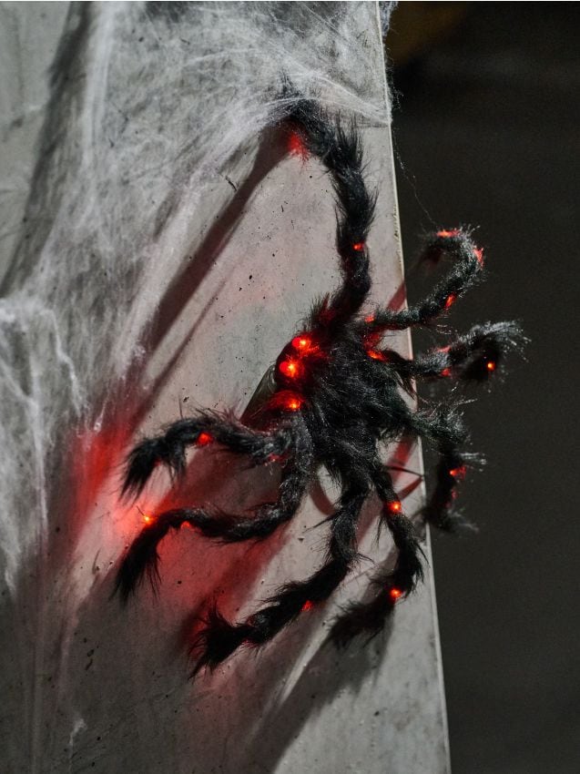 Sinsay - LED stojaca dekorácia na Halloween - čierna
