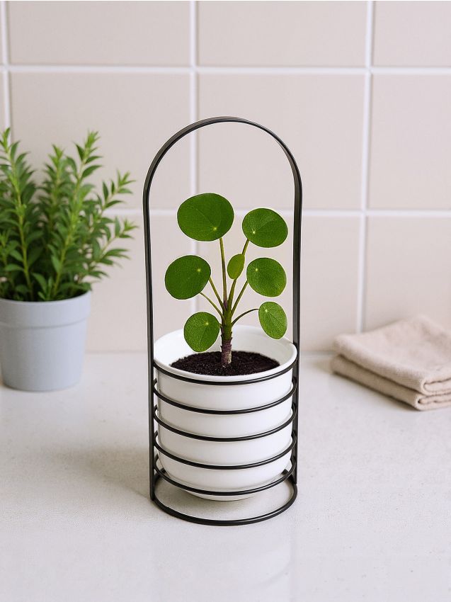 Sinsay - Kovový stojan na kvety - čierna