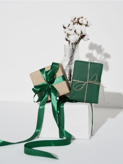 Διακοσμητικό φυτό σε σχήμα κλαδιού