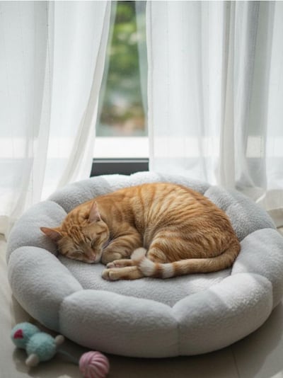 Kassivoodi lille kujuga