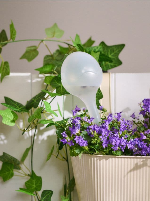 Sinsay - Dispozitive de irigare pentru plante în ghiveci 2 pack - alb