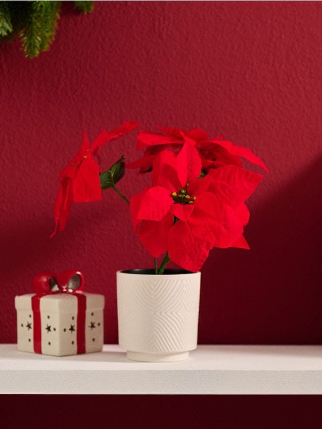 Sinsay - Umelá vianočná hviezda - červená