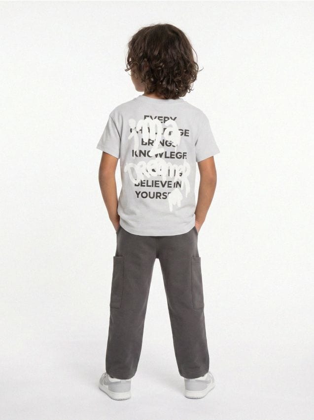 Sinsay - Tricou din bumbac cu imprimeu cu minge de baschet - gri deschis