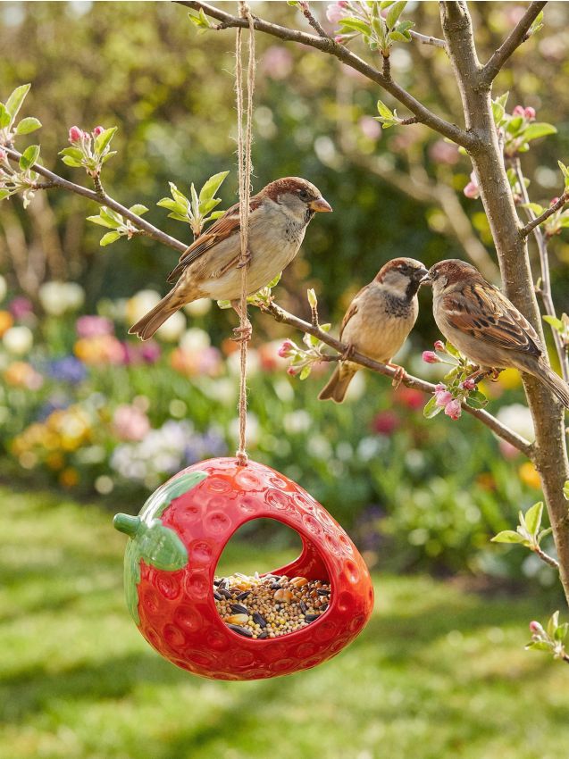 Sinsay - Hrănitor pentru păsări în formă de căpșună - roșu