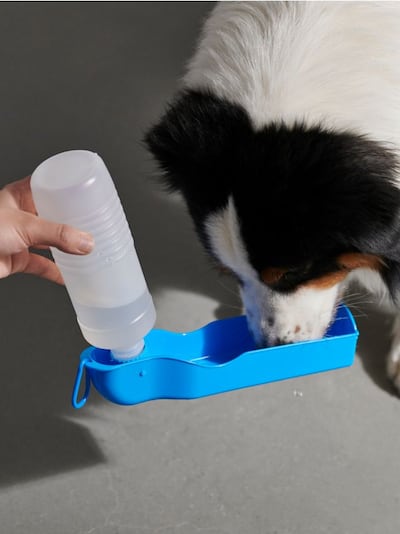 Sticlă de apă pentru câine