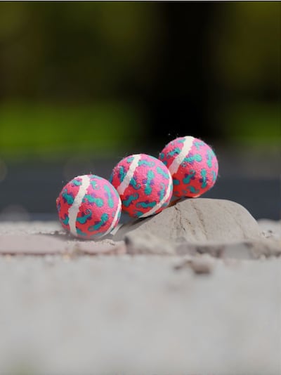 Tennisepallid koertele  3 pack