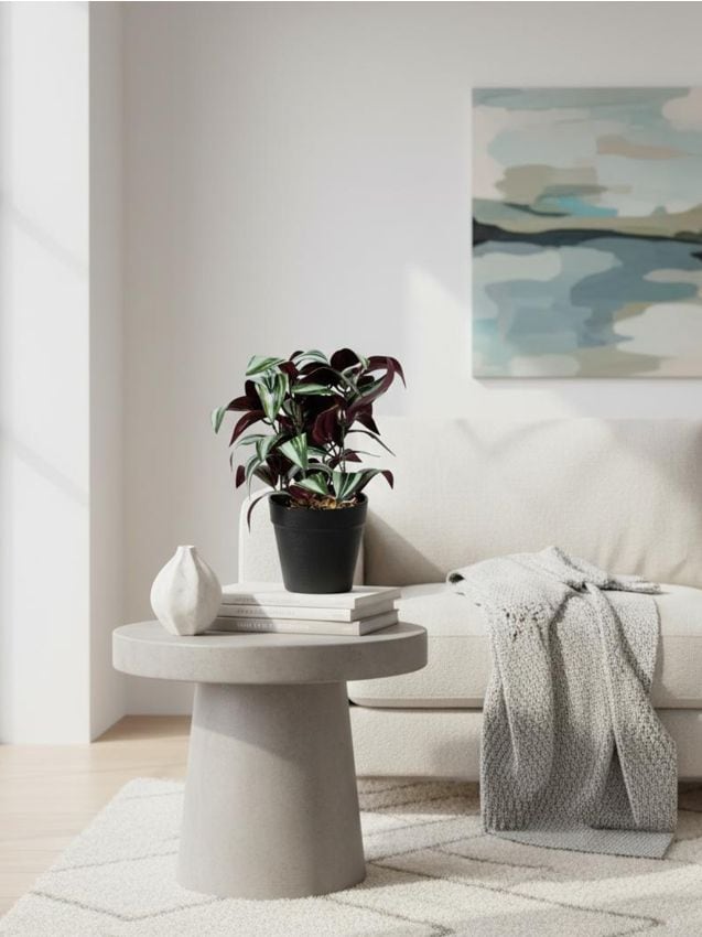 Sinsay - Plantă decorativă în ghiveci - verde