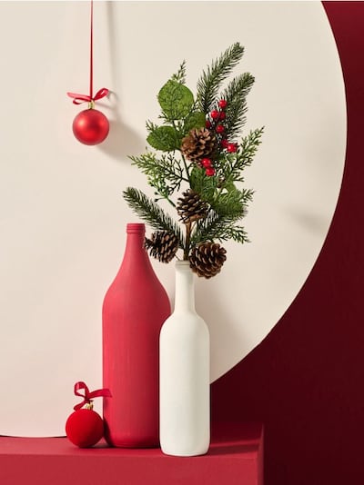 Świąteczna roślina ozdobna