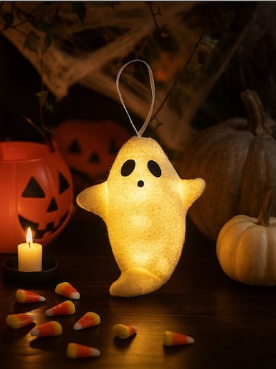 Svetleča dekoracija