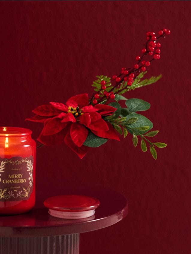 Sinsay - Vianočná dekoratívna rastlina - Betlehemská hviezda - červená