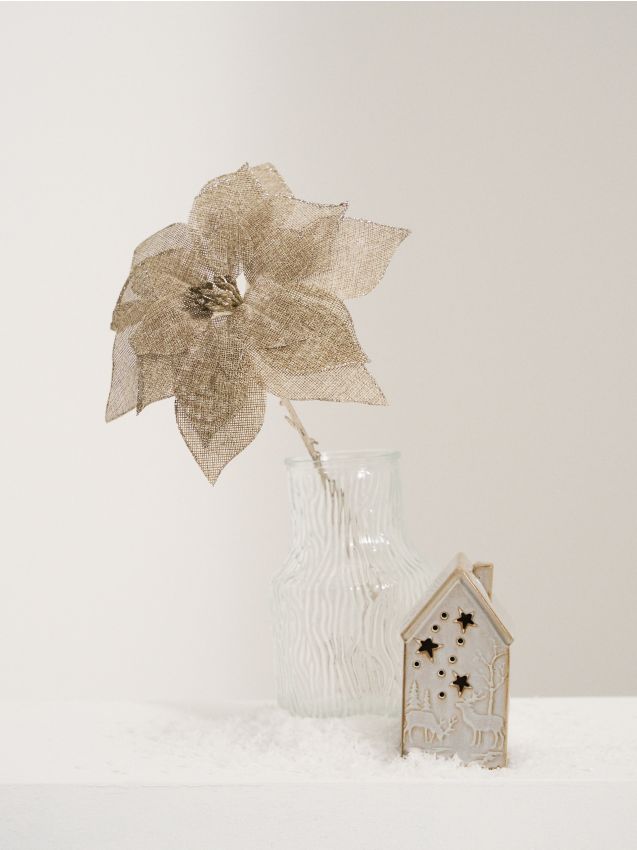 Sinsay - Dekoratívna rastlina s vianočným motívom - béžová