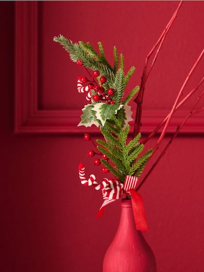 Dekorative Pflanze mit Weihnachtsmotiv