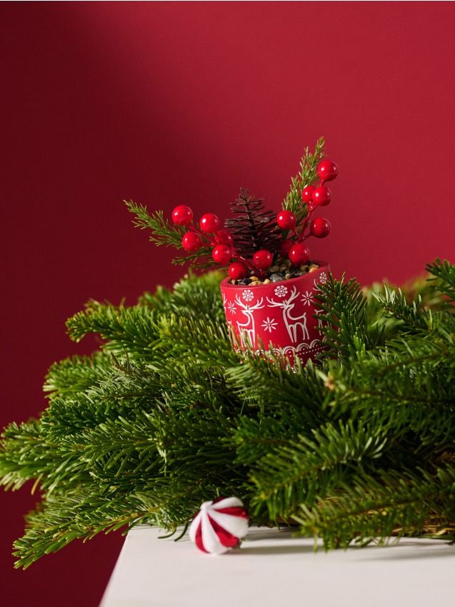 Sinsay - Dekoratívna rastlina s vianočným motívom - červená